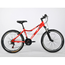 Bicicleta de montaña hermosa mujer (FP-MTB-J01)